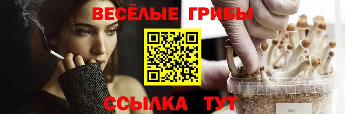 Псилоцибиновые грибы MAGIC MUSHROOMS Новый Уренгой