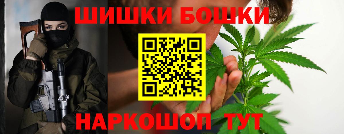 Конопля гибрид Новый Уренгой